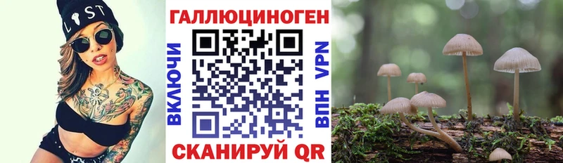 Псилоцибиновые грибы GOLDEN TEACHER  Купить где  Алатырь 