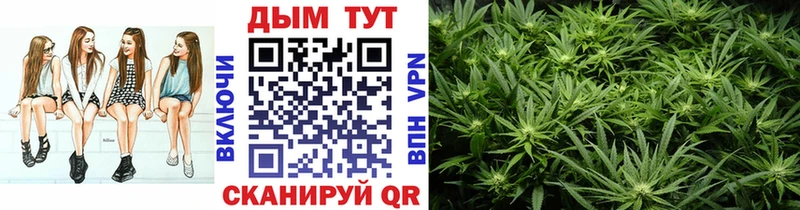 Канабис Bruce Banner  Купить закладки  Алатырь 